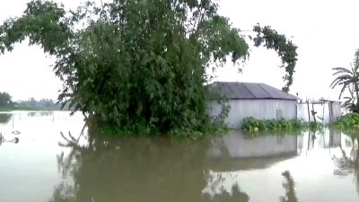 নিরাপদ আশ্রয়ের খোঁজে অনেক পরিবার