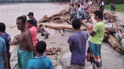 নদীর তীরে স্থানীয়রা ও উদ্ধার করা গাছের গুঁড়ি