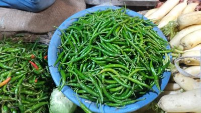নীলফামারীর কাঁচাবাজারে কাঁচা মরিচ