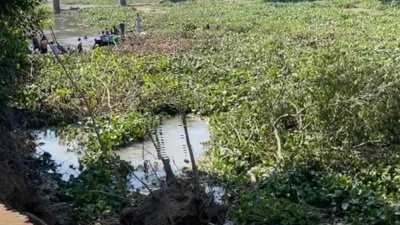 গাজীপুরের কাপাসিয়ায় বানার নদীতে জমে থাকা কচুরিপানা পরিষ্কার করার সময় দুই নারীর মৃত্যু