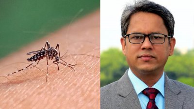 জাহাঙ্গীরনগর বিশ্ববিদ্যালয়ের প্রাণিবিদ্যা বিভাগের অধ্যাপক ও মশাবাহিত রোগ বিষয়ক গবেষক কীটতত্ত্ববিদ ড. কবিরুল বাশার
