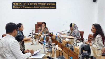 সভায় সৈয়দা রিজওয়ানা হাসান