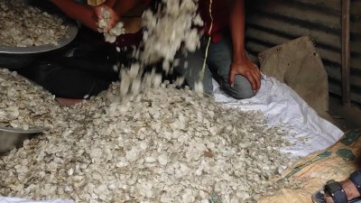 মাছের আঁশ শুকিয়ে বিদেশে রফতানি করা হয়