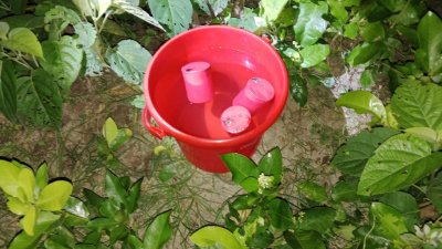 উদ্ধার করা ককটেল বোমা