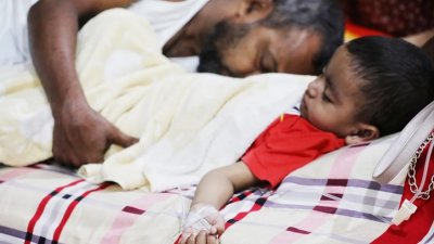 হাসপাতালে ডেঙ্গু রোগী (ফাইল ছবি: ঢাকা ট্রিবিউন)