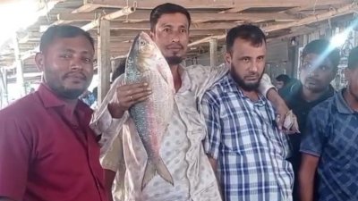 নিলামে মাছটি সর্বোচ্চ দামে কিনে নেন স্থানীয় মৎস্য ব্যবসায়ী আমির ব্যাপারী