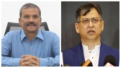 ড. আসিফ নজরুল ও সালাহ উদ্দিন আহমদ