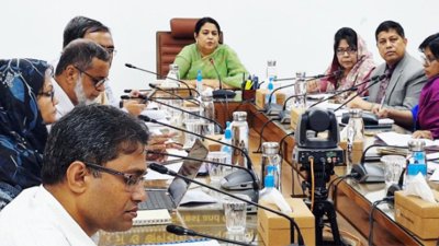 সভায় সৈয়দা রিজওয়ানা হাসান