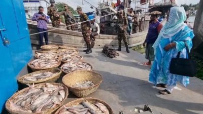 সাড়ে ৩০০ কেজি পচা ইলিশ জব্দ করেছে জাতীয় ভোক্তা অধিকার সংরক্ষণ অধিদফতর