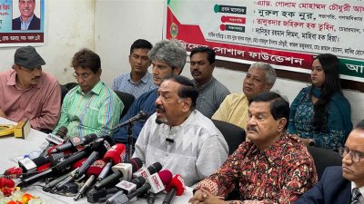 কথা বলছেন হাফিজ উদ্দিন আহমদ (ফাইল ছবি)