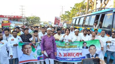 টেকনাফে বিএনপি নেতাকর্মীদের গণসংযোগ