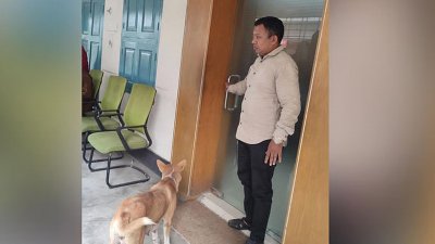 পাবনার ঈশ্বরদীতে পুকুরে পানিতে ডুবিয়ে আটটি কুকুরছানাকে হত্যার ঘটনায় জড়িত থাকার অভিযোগে উপজেলা প্রশাসনের এক কর্মকর্তাকে সরকারি বাসভবন ছাড়ার নির্দেশ