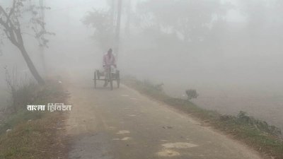 কুয়াশাচ্ছন্ন শীতের সকাল