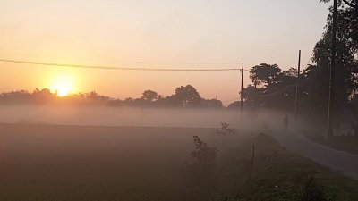 শীতের কুয়াশাচ্ছন্ন সকাল