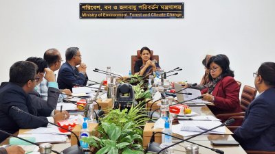 আন্তঃমন্ত্রণালয় সভায় বক্তব্য রাখছেন সৈয়দা রিজওয়ানা হাসান