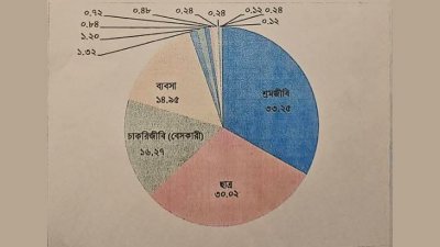 গেজেটভুক্ত জুলাই শহীদদের পেশার তথ্য