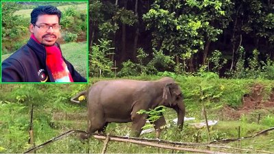 সেই বন্যহাতি, ইনসেটে কনটেন্ট ক্রিয়েটর ফারুক হোসেন