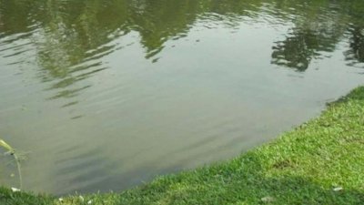 পুকুর (ফাইল ছবি)