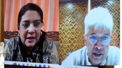 অনলাইনে যুক্ত হয়ে নির্দেশনা দেন রিজওয়ানা হাসান ও আদিলুর রহমান খান