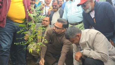 ৩০০ ফিট মহাসড়কের ‘৩৬ জুলাই এক্সপ্রেসওয়ে’ এলাকায় চারা রোপন করছেন বিএনপির নেতা-কর্মীরা