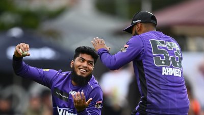 উইকেট উদযাপন করছেন রিশাদ।