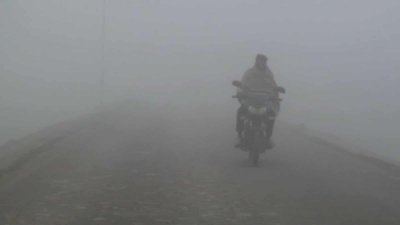 শীতের কুয়াশাচ্ছন্ন সকাল