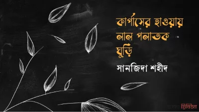 কার্পাসের হাওয়ায় লাল পলাতক ঘুড়ি