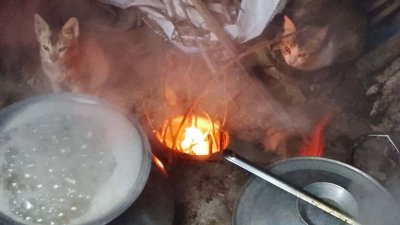 উষ্ণতার জন্য চুলার পাশে বিড়ালছানা