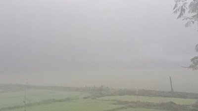 শীতের কুয়াশাচ্ছন্ন সকাল