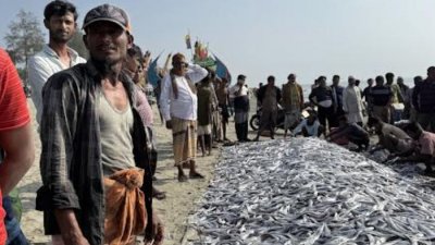বিপুল পরিমাণ মাছ পাওয়ার খবর ছড়িয়ে পড়লে স্থানীয় বাসিন্দা ও পর্যটকরা সৈকতে ভিড় জমান