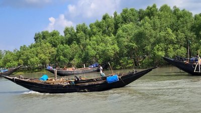 সুন্দরবনে জেলেদের নৌকা