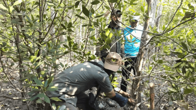 সুন্দরবন থেকে হরিণ শিকারের ফাঁদ উদ্ধার করছেন বন বিভাগের কর্মীরা
