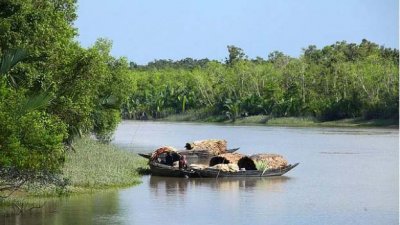 সুন্দরবন