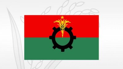 বিএনপির লোগো