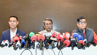 কথা বলছেন অধ্যাপক আলী রীয়াজ