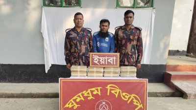 ইয়াবাসহ গ্রেফতার একজন