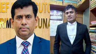 মোহাম্মদ তাজুল ইসলাম ও বিএম সুলতান মাহমুদ