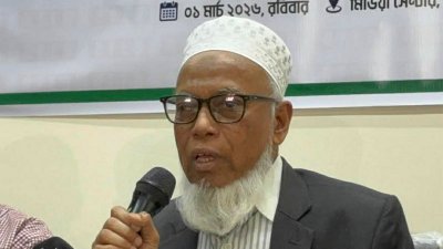 কথা বলছেন আব্দুর রহমানেল মাছউদ