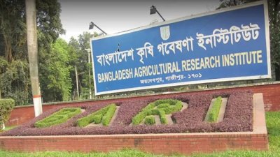 বাংলাদেশ কৃষি গবেষণা ইনস্টিটিউটে চাকরি, বড় নিয়োগ বিজ্ঞপ্তি প্রকাশ