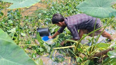 পানিতে ভাসমান তেল সংগ্রহ