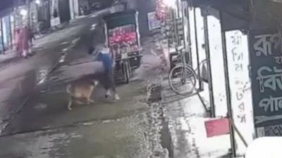 কিশোরগঞ্জের পাকুন্দিয়া উপজেলার পৌর বাজার এলাকায় পাগলা কুকুরের কামড়ে নারী-পুরুষসহ অন্তত ৫০ জন আক্রান্ত