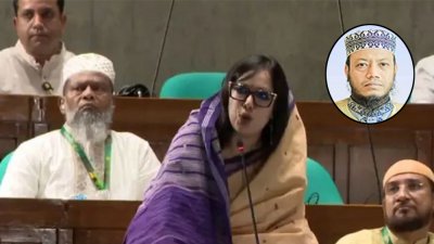 জাতীয় সংসদের স্পিকারের কাছে অভিযোগ করেন রুমিন ফারহানা, ইনসার্টে মুফতি আমির হামজা