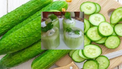 শসার যে সালাদে গরমে স্বস্তি