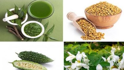 নানা রকম তিতা খাবার (ছবি সংগৃহীত)