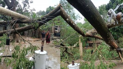 যশোরে হঠাৎ কালবৈশাখী ঝড়ে ব্যাপক ক্ষয়ক্ষতি হয়েছে