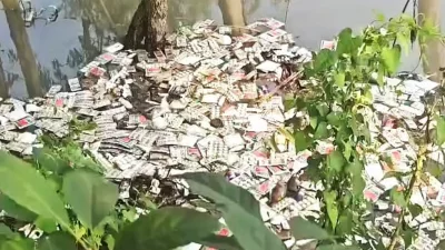 ডোবায় ভাসমান ওষুধ