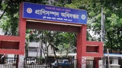 প্রাণিসম্পদ অধিদফতর (ছবি সংগৃহীত)