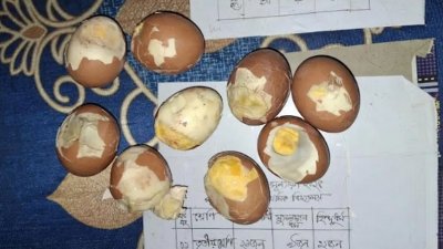 স্কুল ফিডিংয়ে শিক্ষার্থীদের পচা ডিম সরবরাহের অভিযোগ