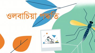ওলবাচিয়া পদ্ধতি