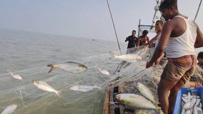দীর্ঘ দুই মাসের সরকারি নিষেধাজ্ঞা শেষে লক্ষ্মীপুরের মেঘনা নদীতে ইলিশ শিকারে নেমেছেন জেলেরা